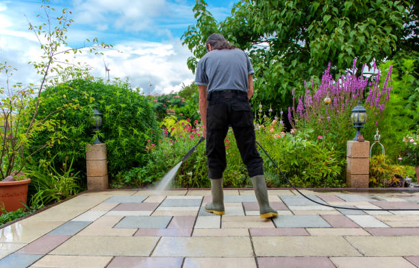 Best Fence Cleaning  in Gladstone, MO