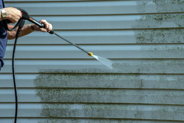 Best Residential House Exterior Washing  in Gladstone, MO