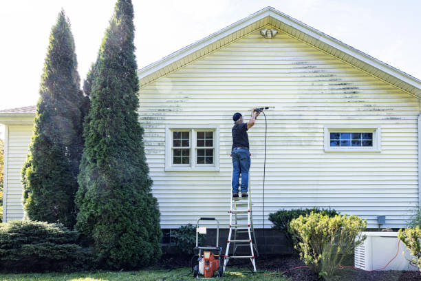 Best Roof Washing  in Gladstone, MO