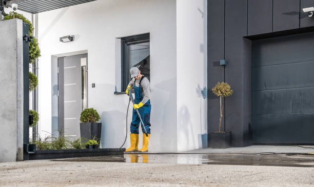 Best Graffiti Removal  in Gladstone, MO